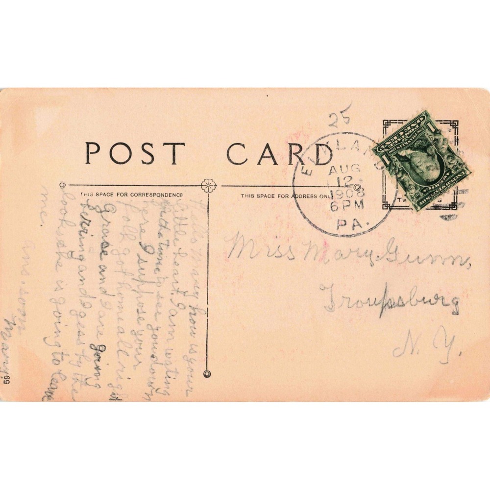 Vintage 1908 The New Pets Postcard Children Chicken Chicks Emlenton PA Postmark - Picture 2 of 2